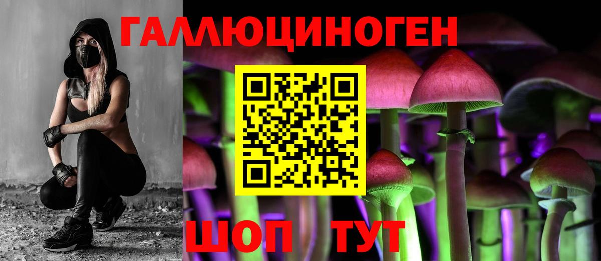 Камень-на-Оби  Псилоцибиновые грибы Magic Shrooms  Вход с VPN  наркотики  Псилоцибиновые грибы Cubensis 
