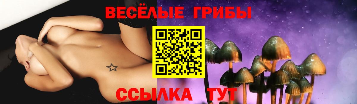 Галлюциногенные грибы MAGIC MUSHROOMS Камень-на-Оби